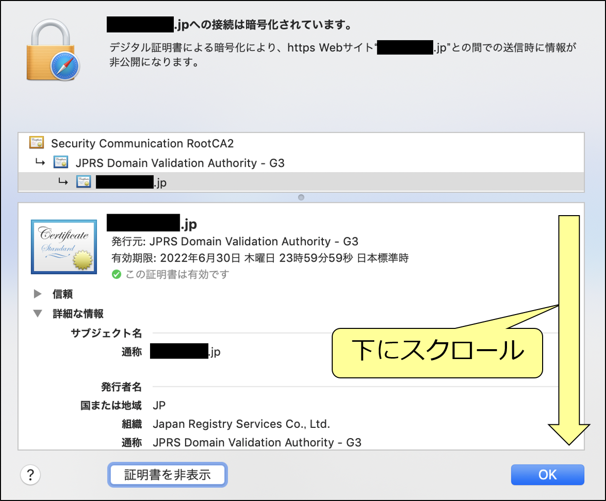 ④開いたメニューを下にスクロールして、「有効になる日付」を表示させます。
